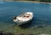 Ferienwohnungen Juri - 10 m from sea: Kroatien - Dalmatien - Insel Hvar - Sucuraj - ferienwohnung #1374 Bild 9