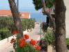 Apartments Dinka - cosy & pet friendly: Croatia - Dalmatia - Island Brac - Mirca - apartment #1495 Picture 13