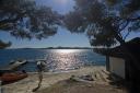 Kuća za odmor Pine Beach Hrvatska - Dalmacija - Zadar - Pakoštane - kuća za odmor #150 Slika 10
