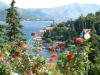 Ferienwohnungen Lucija Kroatien - Dalmatien - Insel Korcula - Korcula - ferienwohnung #1509 Bild 7
