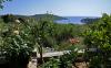 Appartementen Toni - with pool and view: Kroatië - Dalmatië - Eiland Solta  - Maslinica - appartement #1957 Afbeelding 10