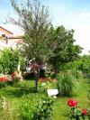 Ferienwohnungen Nika - nice garden: Kroatien - Dalmatien - Zadar - Nin - ferienwohnung #1996 Bild 6