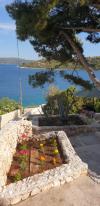 Appartements Natad - sea view :  Croatie - La Dalmatie - Trogir - Vinisce - appartement #2167 Image 21