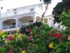 Apartments Dijana - 20m from the sea  Croatia - Dalmatia - Korcula Island - Prigradica - apartment #2173 Picture 10