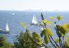 Ferienwohnungen Ema - 30m from the sea  Kroatien - Dalmatien - Insel Murter - Murter - ferienwohnung #2384 Bild 15
