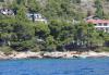 Apartments Ema - 30m from the sea  Croatia - Dalmatia - Island Murter - Murter - apartment #2384 Picture 15