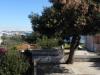Apartments Gorda - 50m from the beach & parking: Croatia - Dalmatia - Zadar - Zadar - apartment #2470 Picture 5