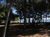 Ferienwohnungen VINK - 80 m from beach Kroatien - Dalmatien - Insel Vir - Vir - ferienwohnung #2653 Bild 7