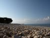 Ferienwohnungen Marina - 50m from the beach: Kroatien - Dalmatien - Insel Brac - Supetar - ferienwohnung #2981 Bild 6