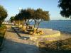 Ferienwohnungen Mis - apartments close to sea: Kroatien - Dalmatien - Zadar - Petrcane - ferienwohnung #3100 Bild 11