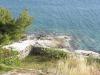 Ferienwohnungen Marija - 30m from the beach: Kroatien - Dalmatien - Insel Murter - Murter - ferienwohnung #3930 Bild 5