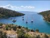 Ferienwohnungen Ivano - 20 m from Sea: Kroatien - Dalmatien - Insel Brac - Cove Osibova (Milna) - ferienwohnung #4035 Bild 19