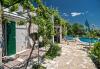 Maison de vacances Ivo - house with pool: Croatie - La Dalmatie - Île de Brac - Bol - maison de vacances #4137 Image 22