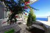 Dom wczasowy Doria - perfect location & peaceful: Chorwacja - Dalmacja - Wyspa Korcula - Cove Stiniva (Vela Luka) - dom wczasowy #4205 Zdjęcie 15