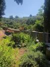 Holiday home Sunce - relaxing & quiet: Croatia - Dalmatia - Island Solta - Maslinica - holiday home #4226 Picture 16