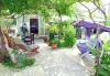 Holiday home Zeljko - with nice garden: Croatia - Dalmatia - Hvar Island - Sucuraj - holiday home #4374 Picture 11