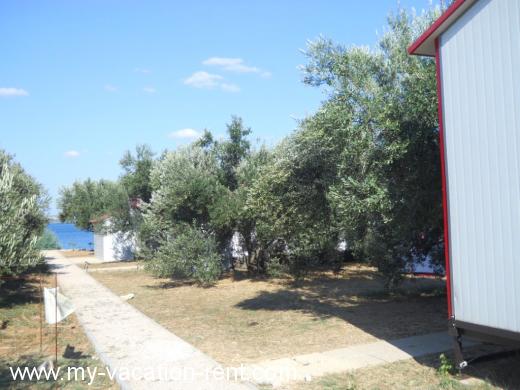 Maison de vacances mesto Kraj Île de Pasman La Dalmatie Croatie #4481