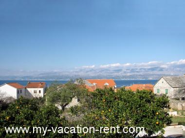 Appartement Supetar Île de Brac La Dalmatie Croatie #4675