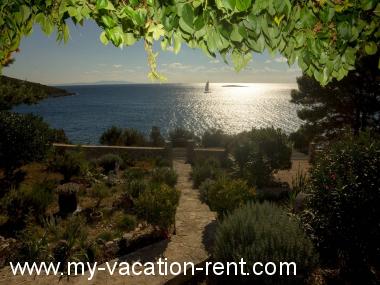 Maison de vacances Maslinica Île de Solta La Dalmatie Croatie #5467