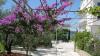 Appartementen Ljuba - nice garden: Kroatië - Istrië - Umag - Okrug Gornji - appartement #6098 Afbeelding 14