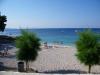 Apartments Fran - 30 m from sea : Croatia - Dalmatia - Trogir - Vinisce - apartment #6115 Picture 9
