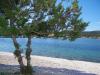 Ferienwohnungen Fran - 30 m from sea : Kroatien - Dalmatien - Trogir - Vinisce - ferienwohnung #6115 Bild 9