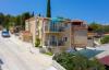 Apartments Dalis - open swimming pool: Croatia - Dalmatia - Island Brac - Cove Osibova (Milna) - apartment #6775 Picture 14