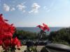 Ferienwohnungen Djurdja - 20 m from beach : Kroatien - Dalmatien - Insel Murter - Murter - ferienwohnung #6815 Bild 15