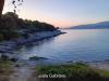 Dom wczasowy Olive - 150 m from sea: Chorwacja - Dalmacja - Wyspa Brac - Splitska - dom wczasowy #7244 Zdjęcie 19