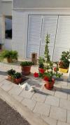 Apartmanok Mira - comfy with garden : Horvátország - Dalmácia - Dubrovnik - Dubrovnik - lakás #7310 Kép 14