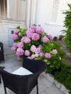 Apartments Mira - comfy with garden : Croatia - Dalmatia - Dubrovnik - Dubrovnik - apartment #7310 Picture 14