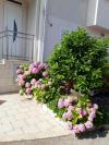 Apartmanok Mira - comfy with garden : Horvátország - Dalmácia - Dubrovnik - Dubrovnik - lakás #7310 Kép 14