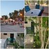 Apartments Iva - 50m from the beach: Croatia - Dalmatia - Island Solta - Necujam - apartment #7398 Picture 9