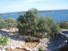 APARTMAN A2 Kroatien - Dalmatien - Trogir - Sevid - ferienwohnung #1228 Bild 10