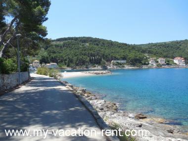 Apartments A&M - 30 m from beach: Croatia - Dalmatia - Island Solta - Stomorska - apartment #1266 Picture 7