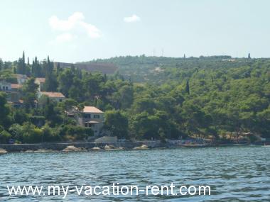 Apartments Jakica - next to the sea: Croatia - Dalmatia - Island Brac - Postira - apartment #1269 Picture 3