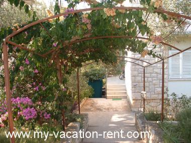 Apartments Mer - 50m from beach; Croatia - Dalmatia - Island Brac - Postira - apartment #1272 Picture 2