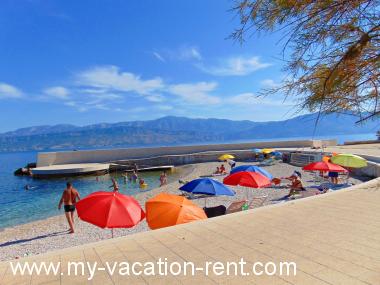 Apartments Tonci - 30m from the beach: Croatia - Dalmatia - Island Brac - Postira - apartment #1281 Picture 8