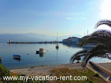 Apartments Tonci - 30m from the beach: Croatia - Dalmatia - Island Brac - Postira - apartment #1281 Picture 11