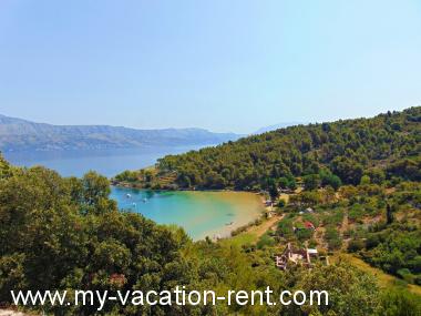 Apartments Tonci - 30m from the beach: Croatia - Dalmatia - Island Brac - Postira - apartment #1281 Picture 12