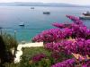 Ferienwohnungen Matea - 20m from the sea: Kroatien - Dalmatien - Insel Brac - Bol - ferienwohnung #1292 Bild 10