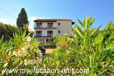 Apartments Mar - 50 m from beach: Croatia - Dalmatia - Island Brac - Sutivan - apartment #1310 Picture 2