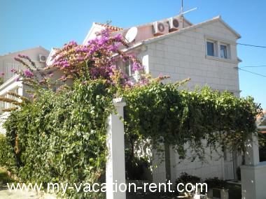 Apartments Aldica - 300 m from sea: Croatia - Dalmatia - Island Brac - Supetar - apartment #1328 Picture 2