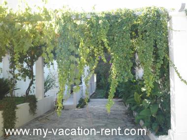 Apartments Aldica - 300 m from sea: Croatia - Dalmatia - Island Brac - Supetar - apartment #1328 Picture 4