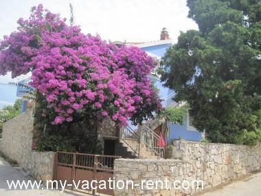 Apartment Maslinica Island Solta Dalmatia Croatia #1352