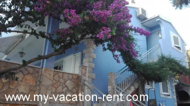 Apartments Gana - 50 M from the sea :  Croatia - Dalmatia - Island Solta - Maslinica - apartment #1352 Picture 2
