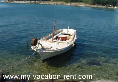 Apartments Juri - 60 m from sea: Croatia - Dalmatia - Hvar Island - Sucuraj - apartment #1374 Picture 7