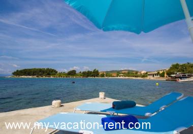 Apartments Juri - 60 m from sea: Croatia - Dalmatia - Hvar Island - Sucuraj - apartment #1374 Picture 8