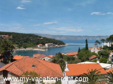 Apartmani Dioniza - 150 m from beach: Hrvatska - Dalmacija - Otok Hvar - Jelsa - apartman #1385 Slika 3