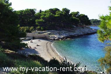 Apartments Zoki - great location close to the sea: Croatia - Dalmatia - Island Vis - Vis - apartment #1386 Picture 11